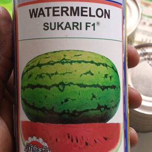 F1 Hybrid Watermelon Seeds - 500g