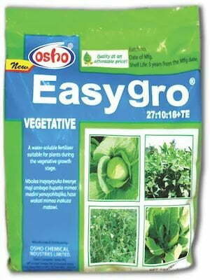 Easygro Vegetative 250g