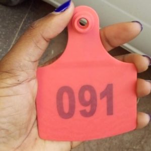 Ear Tag