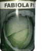 Cabbage Fabiola F1 25g