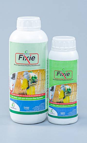 12 X Fixie (500ml)