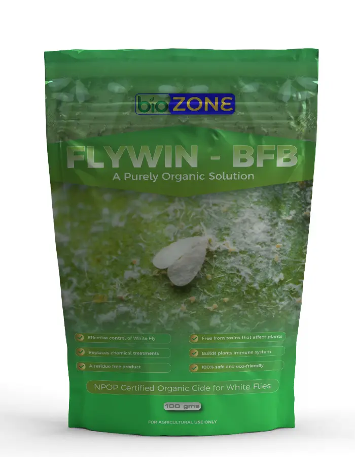 FlyWin-BFB (100g)