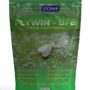 FlyWin-BFB