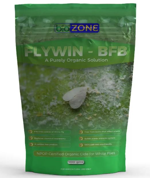FlyWin-BFB