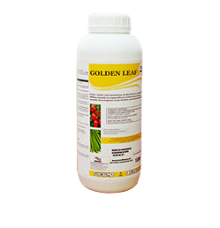 Golden Leaf - 100ml