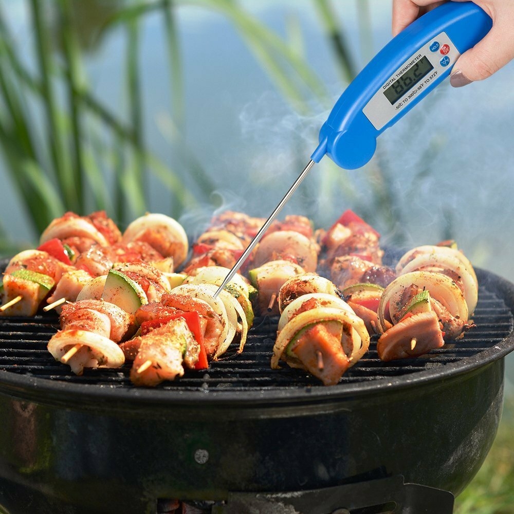Digital Food Thermometer
