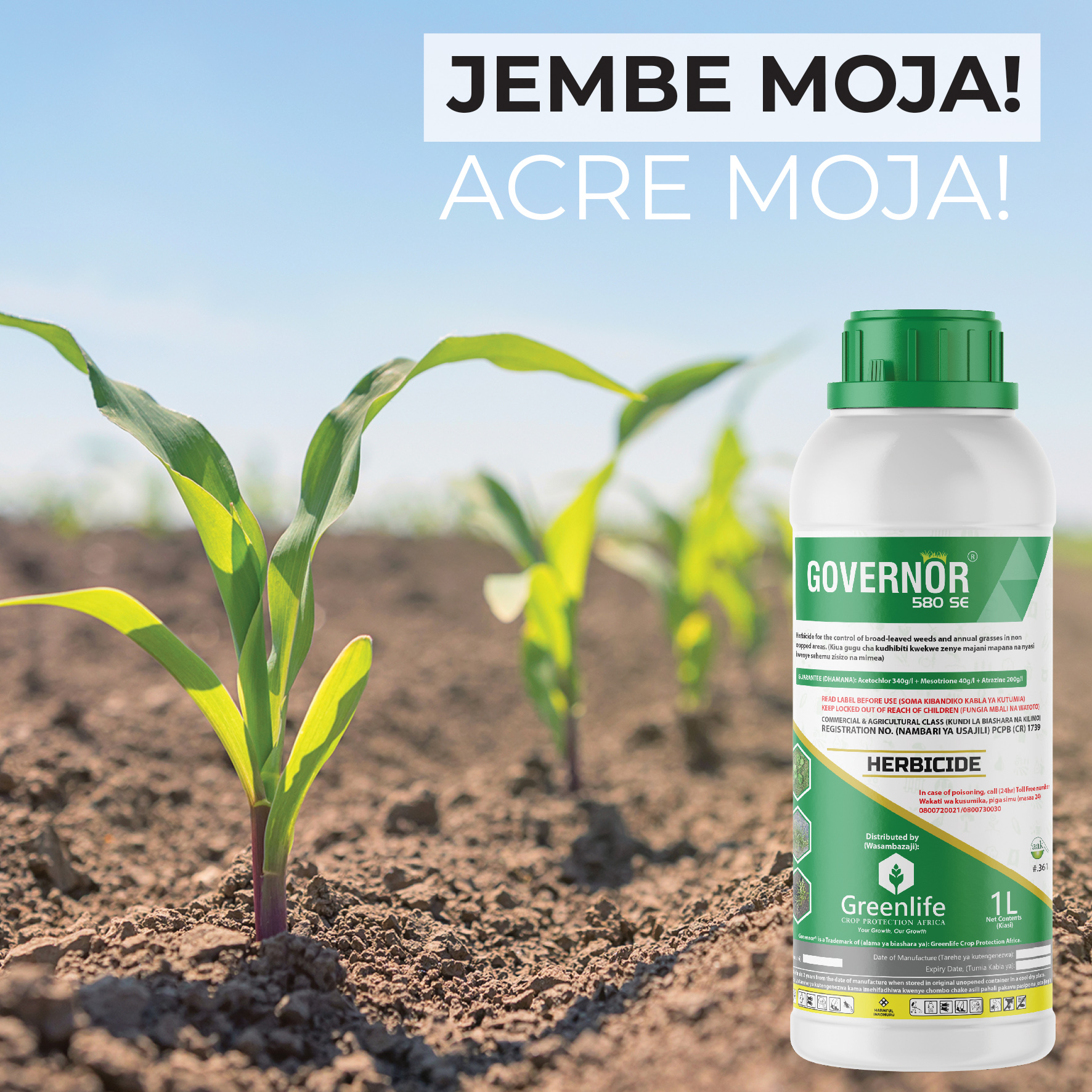 Governor 580 SE (1lt)