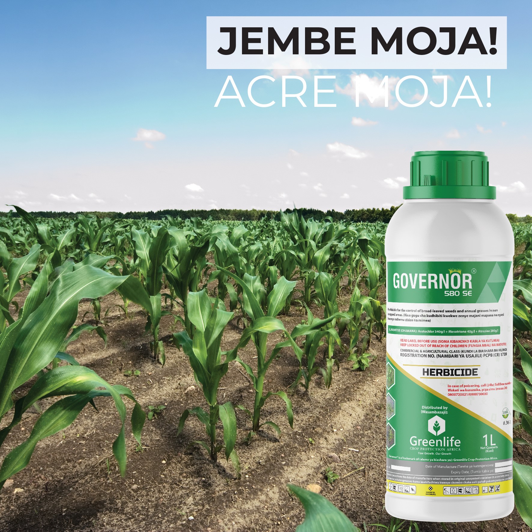 Governor 580 SE (1lt)