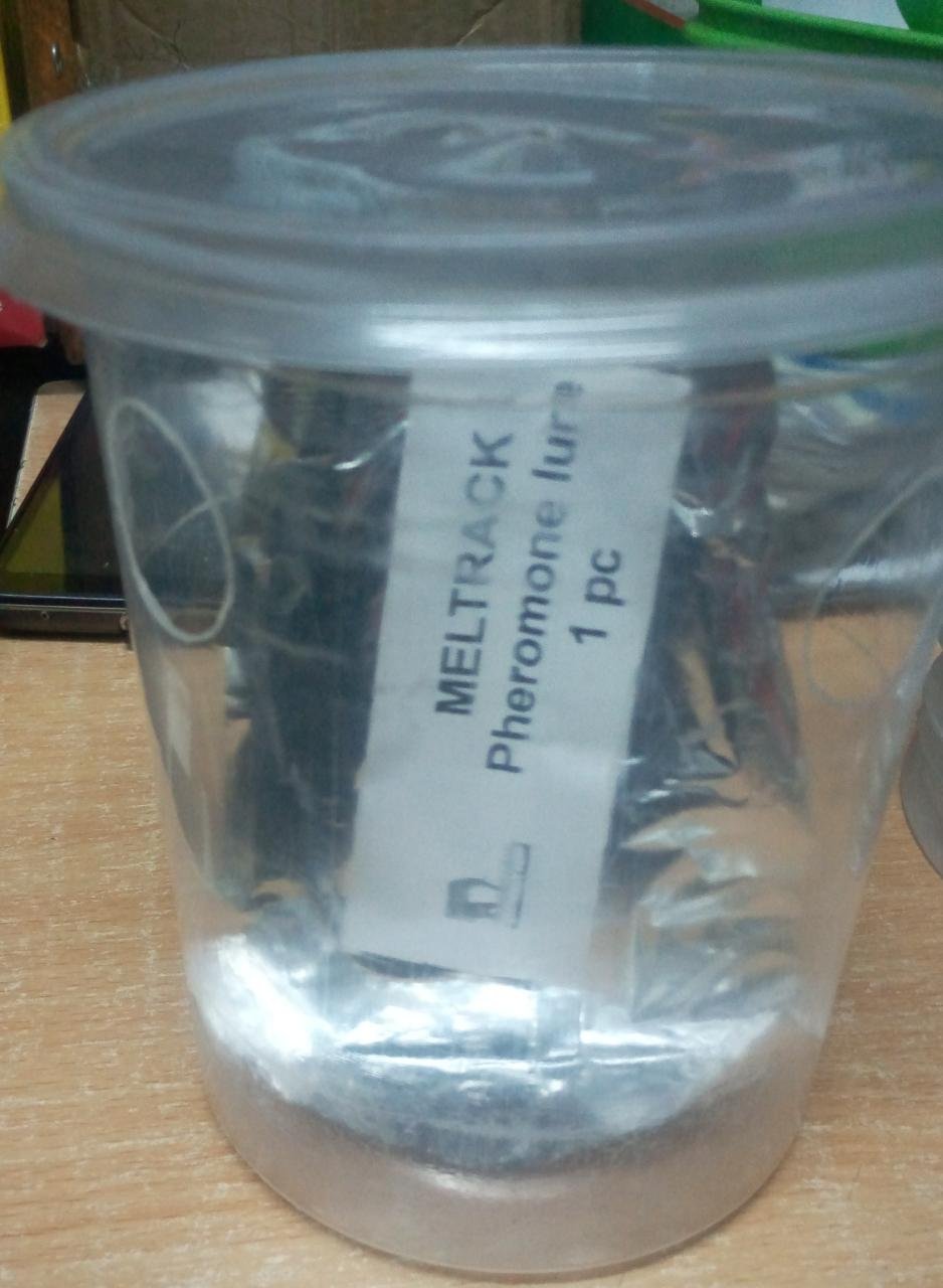 Meltrack - Fruit Fly Trap (hormone/attractant) - Image 3