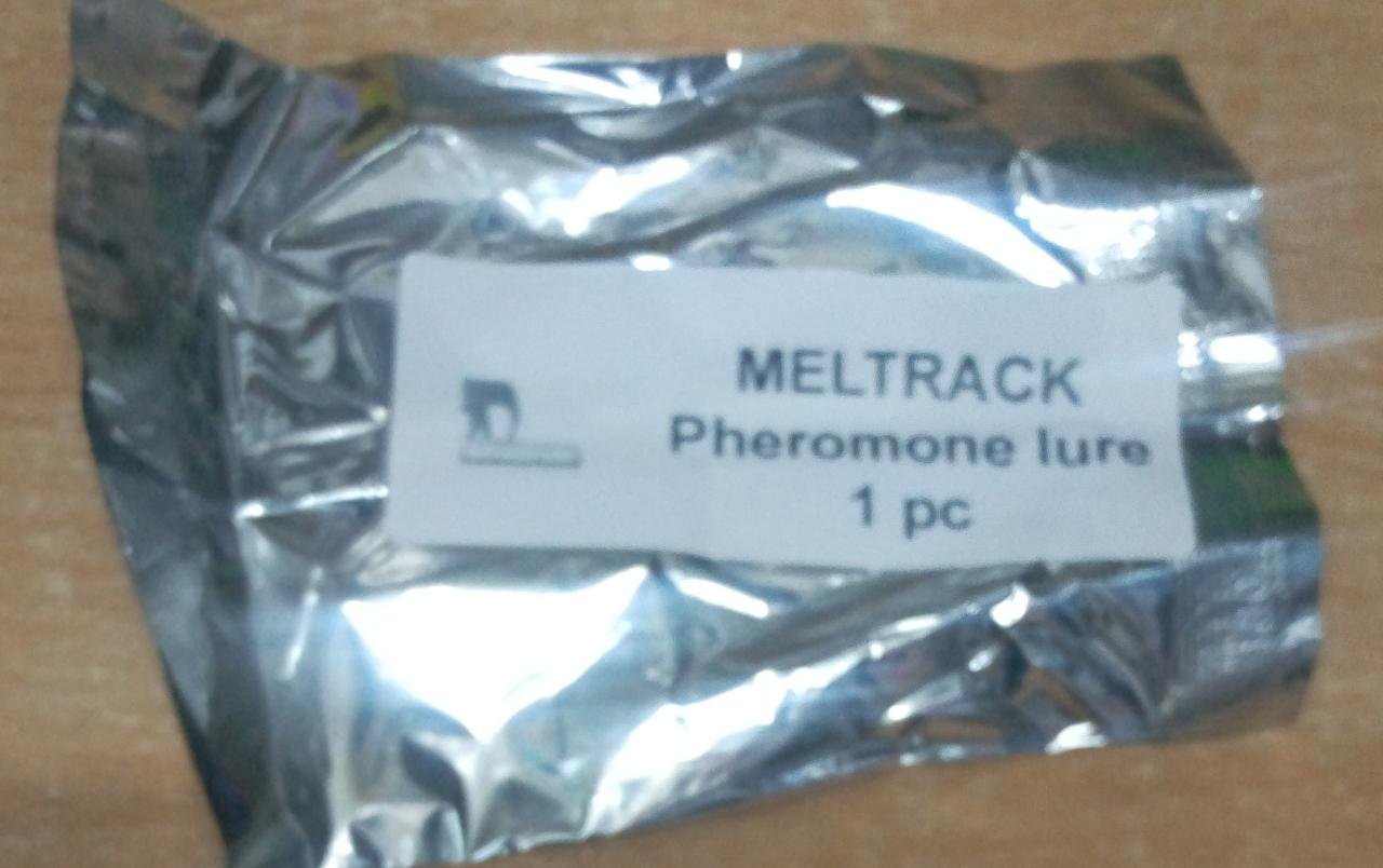 Meltrack - Fruit Fly Trap (hormone/attractant)