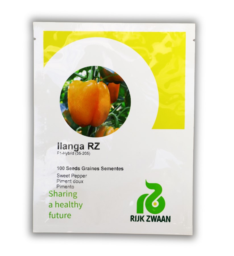 Sweet Pepper ILANGA RZ F1 500seeds