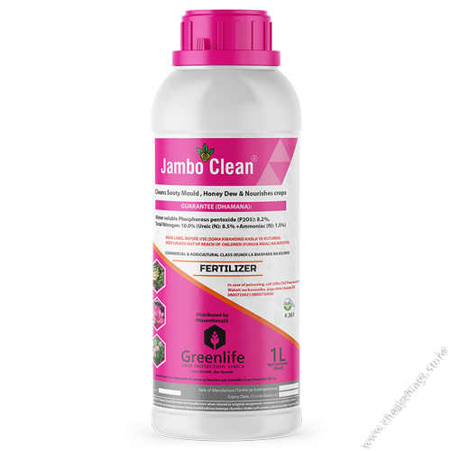 12 x Jambo Clean (1L)