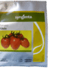 Kilele F1 Tomato 10