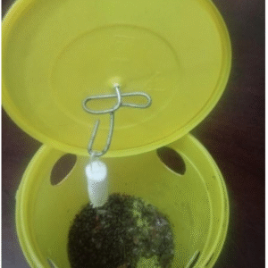 Bactrolure + Lynfield Trap - Yellow (tin + attractant/hormone)