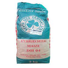 Maize - Dry Land Varieties - DH04