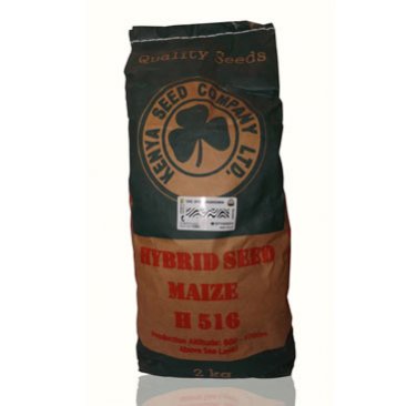 Maize - Highland Varieties - H628