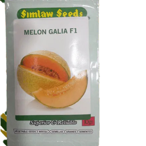 Sweet Melon Galia F1 10g