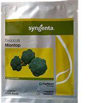 Broccoli Montop F1 2500 seeds