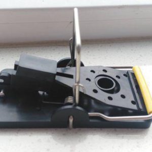 Mouse Snap Trap Plastic