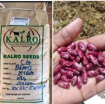 Nyota Beans seeds 2kg