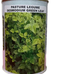Pasture Legume Desmodium grass 100g