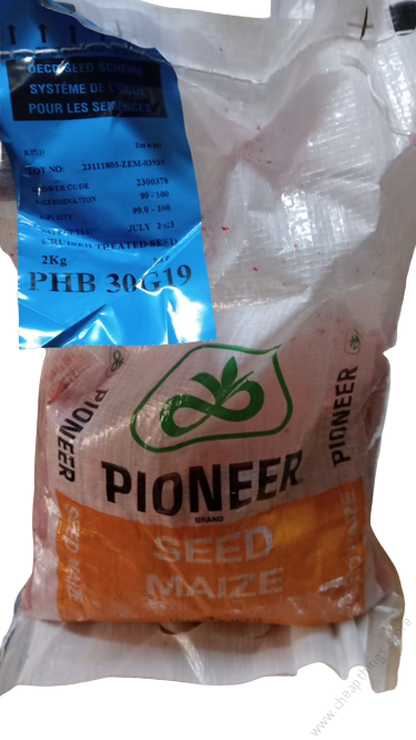 Pioneer PHB 30G19 Maize Seeds 2kg