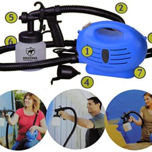 Professional Spray System