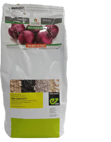 Red Coach F1 onion-250,000 seeds(1kg)
