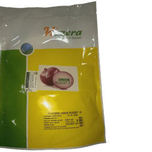 Russet F1 Onion- 125