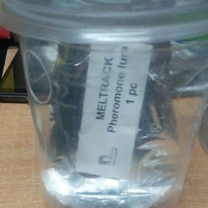 Meltrack - Fruit Fly Trap (tin + attractant/hormone)