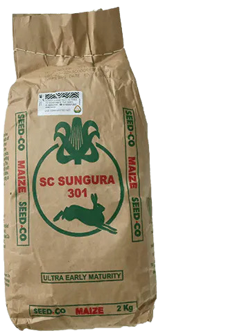 SC Sungura 301 Hybrid Maize Seed 2kg