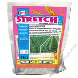 Stretch WP 50g