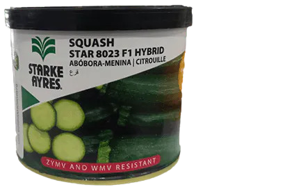 Courgette Star 8023 25g
