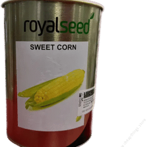 Sweetcorn Hybrix 53 (1kg)
