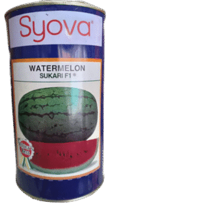 Watermelon Sukari F1 - 500g