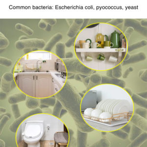 Chlorine Dioxide | Disinfection Tablet 100g