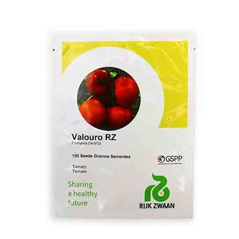 Tomato VALOURO RZ F1 100seeds