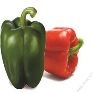 Capsicum Victory F1 (10g)