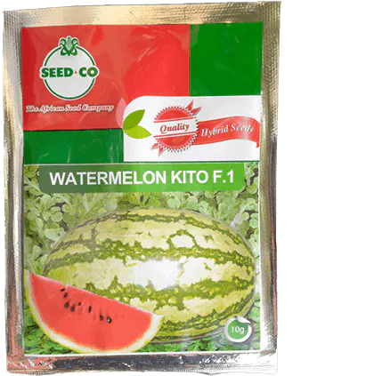 Kito F1 watermelon 100g