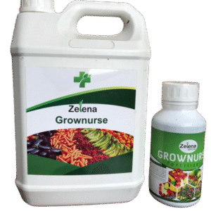 Zelena Grownurse 5L