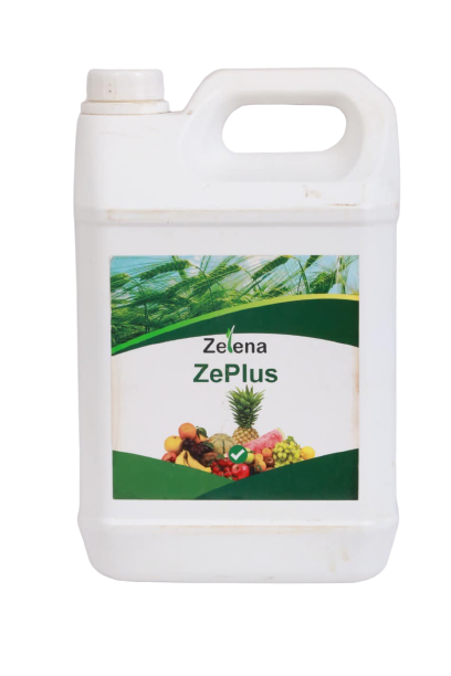 Zelena ZeFun 1L