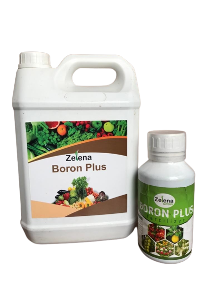 Zelena Boron Plus 1L