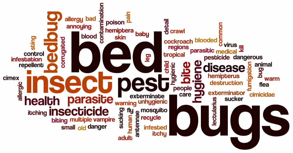 Single Room Bed Bug Control