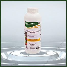 Brilliant (500ml)