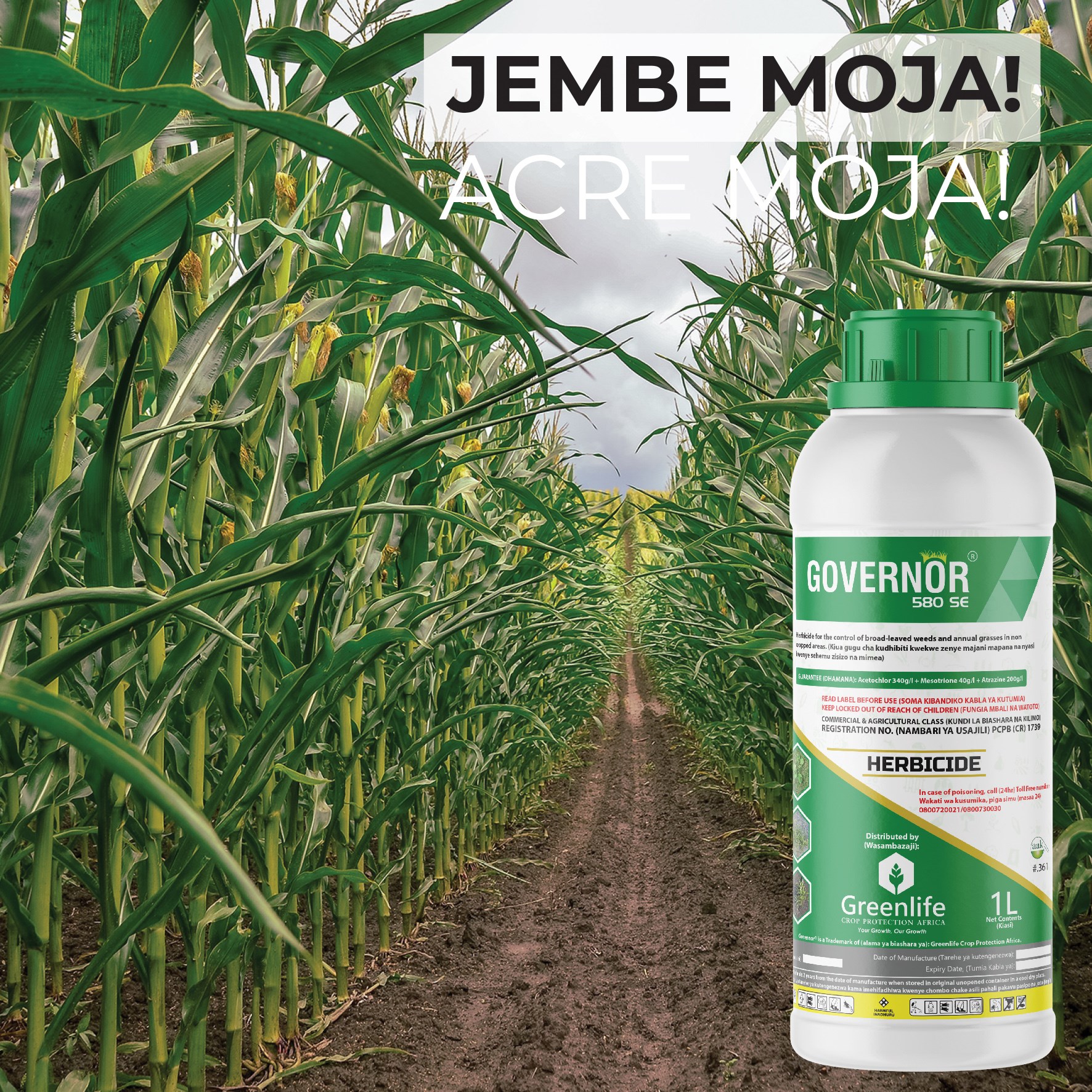 Governor 580 SE (1lt)