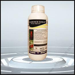 Cadence Gold (500ml)