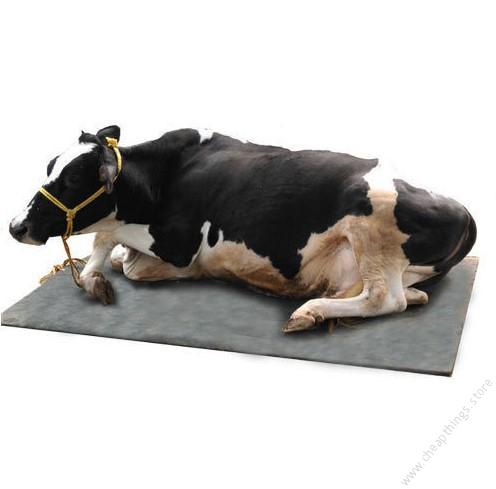 Improved Cow Mattress