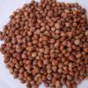 cowpeas k.k.1 (1kg)