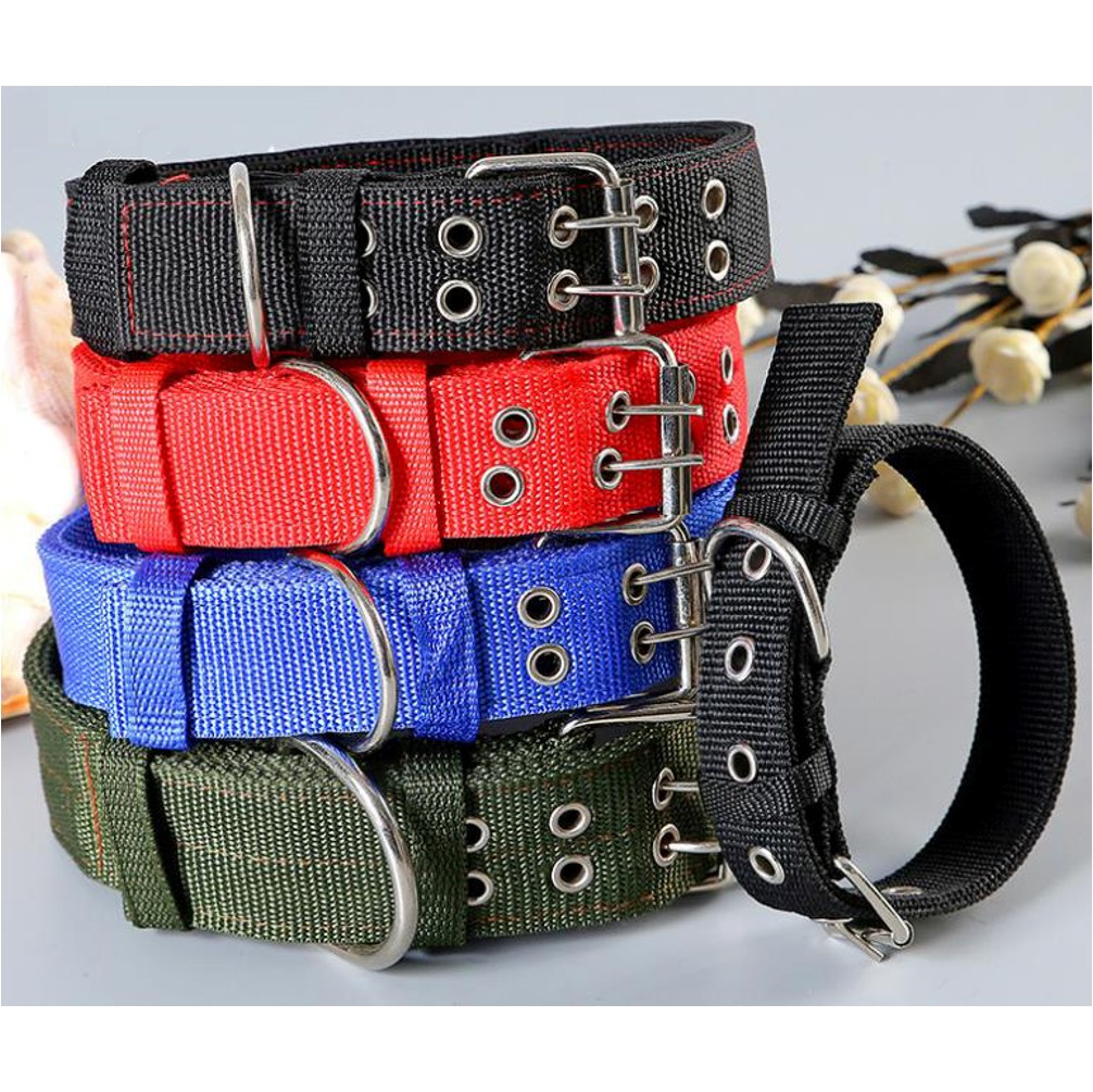 Dog Collars 3cm