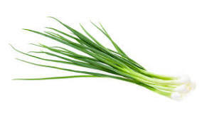 Onion- Leeks seedling Per seedlings